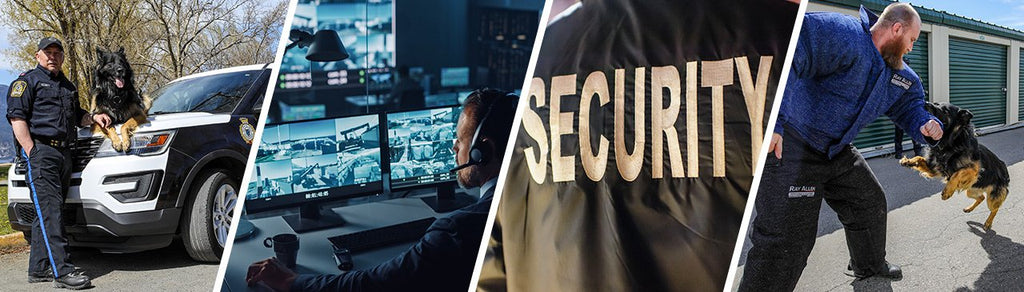 Security Consultants: Reactive or Proactive?