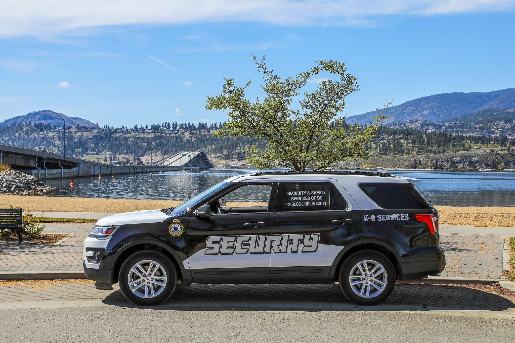 Turner Security Services