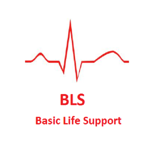 Bls course shop